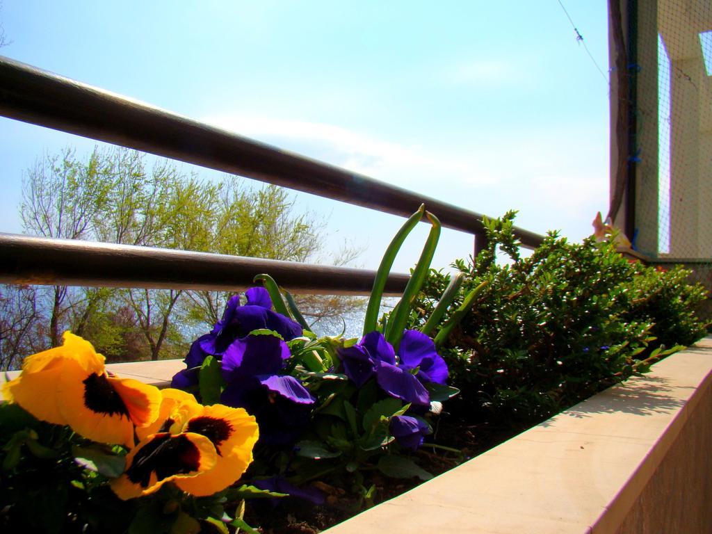 Apartments Anka Duće Dış mekan fotoğraf